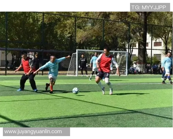 少年逐梦绿茵场超级足球小球星用热血与汗水书写荣耀篇章 少年逐梦绿茵场超级足球小球星用热血与汗水书写荣耀篇章