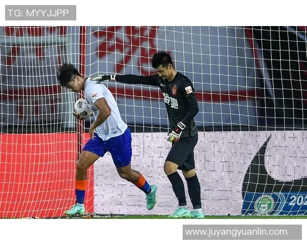 足球明星是否配备专职保镖?揭秘背后的安全保护措施与隐秘故事